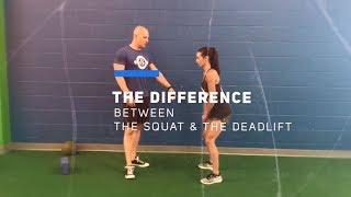 The Difference Between The Squat and The Deadlift