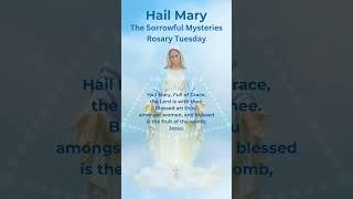 Hail Mary Rosary Prayer - Rosary Tuesday - Sorrowful Mysteries - Ave Maria Piano Music #hailmary