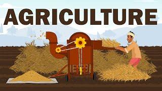 Agriculture  Harvesting  Threshing  Winnowing  Farmer Animation