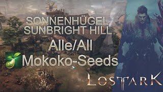 Lost Ark Sunbright Hill All Mokoko Seeds  Sonnenhügel Alle Mokoko Samen