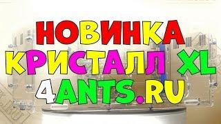 Муравьиная ферма Кристалл XL от 4ants - Большое гнездо и огромная арена