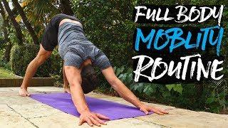 15 Minute Full Body Mobility Routine FOLLOW ALONG