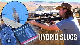 New HYBRID Slugs  Review & First Hunt