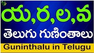 య ర ల వ గుణింతాలు  Ya Ra La Va guninthalu How to write Telugu varnamala guninthalu