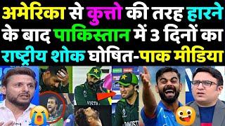 Pak Media Shocked on USA Beat Pakistan in T20 WC 2024  Pak Media Reaction on America Beat Pakistan