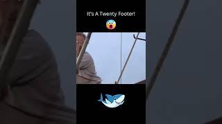 Thats A Twenty Footer #funny #entertainment#comedy
