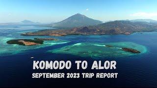 Diving Komodo and Alor in 2023... 4K