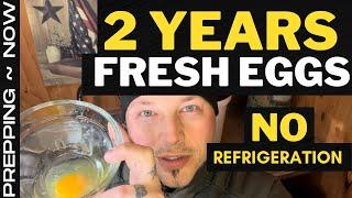 How To Store Eggs Long Term NO REFRIGERATION  Food Shortage  Prepping