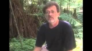 An overview of Novelty Theory Terence Mckenna