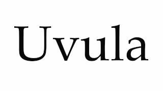 How to Pronounce Uvula