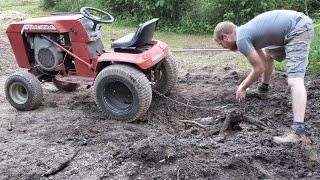 Removing a Tree Stump From Our Garden