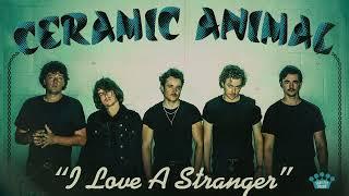 Ceramic Animal - I Love A Stranger Official Audio