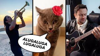 The Kiffness x Alugalug Cat 2.0 - Please Go Away Flamenco Edit ft. Spaul