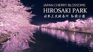 弘前公園 日本一の絶景桜名所 8K Beautiful Cherry Blossoms in Hirosaki Park Japan  東北の風景 弘前城の夜桜 Sakura Landscape