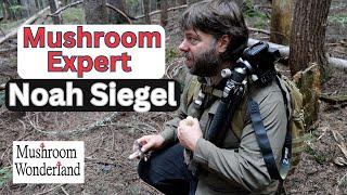 Mushroom Expert Noah Siegel in Mushroom Wonderland