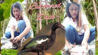 FARM LIFE SLAUGHTER 2 MALE NATIVE DUCK - TITA GRACE VLOG