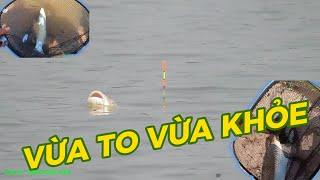 HỒ RỘNG NƯỚC SÂU...CÁ VỪA TO VỪA KHỎE - PHÊ NHỨC NÁCH - PHÚC HÀ FISHING