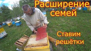 Расширение семей. Ставим вторые корпуса.Ставим решётки