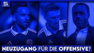 Neuer Zehner im Anflug? Wieder Ablöse für Neuzugang? 4er-Kette? Mohr in der Startelf?  S04 NEWS