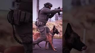 #tacticalshooter #malinois #dog #dogs #belgianmalinois #k9 #usa #military #germanshepherd #shorts