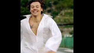 GOLDEN  #harrystyles #goldenretriever #viral #viralvideo #trending #trendingshorts #youtubeshorts