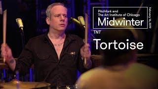Tortoise  TNT Full Set  Midwinter 2019