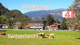 SWITZERLAND - WILDERSWIL - INTERLAKEN - Walking Tour beautiful villages - hermosos pueblos - 4k