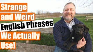 Strange English Phrases We Actually Use English Idioms and Sayings