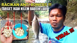 umpan ikan nilem sungai paling ampuh  racikan umpan ikan nilem sungai versi @rendymancing