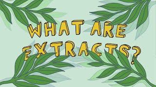 What are Herbal Extracts?