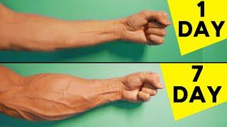 5 Best Exercises For Forearms  Home Workout