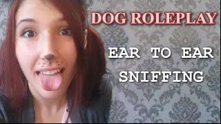 ASMR - DOG ROLEPLAY  Ear to Ear Sniffing Sounds for Tingles & Relaxation 