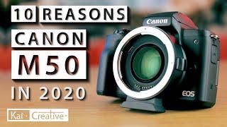 10 Reasons to get a Canon M50 in 2020  KaiCreative