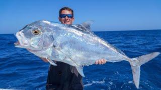 GIANT African Pompano Catch Clean Cook Slow Pitch Jigging