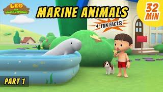 Marine Animals Part 12 - Dugong and more sea animal stories