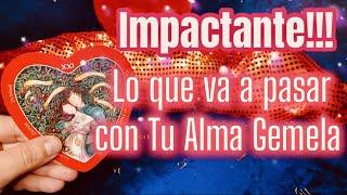 IMPACTANTE LO que PASARÁ con TU ALMA GEMELA....  Lectura Canalizada de Tarot Amor