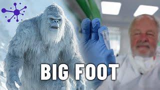 The Yeti Mystery Is DNA Evidence the Key to Proving Its Existence? - Science Documentary - AT