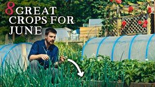 Productive Crops to Sow in June for Self-Sufficiency