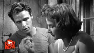 A Streetcar Named Desire 1951 - The Napoleonic Code Scene  Movieclips