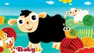 Czarna Owieczka  BabyTV Polski