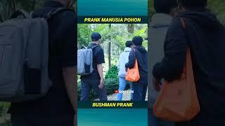 Bushman prank...Funny video... #shortvideo #lucu #funny #shorts #short