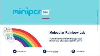 Molecular Rainbow Lab Webinar