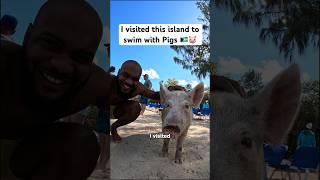 I Visited The Country of Swimming Pigs  #travel #bahamas #america