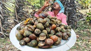 ASMR=Drandy drink  Snail Curry Recipe in Village Style Cooking AND Eating POWER STAR