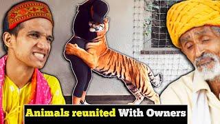 Villagers React To These Animals Reunited With Owners After Years  Tribal People React to Animals