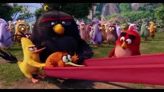Don’t mess with bubbles Angry birds movie