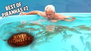 The Best of PIRANHAS Part 2  COMPILATION  River Monsters