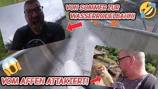 VLOG SOMMERRODELBAHN & AFFENWALD MALCHOW -  DAS GING ja mal so RICHTIG SCHIEF‼️