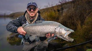 The worlds biggest wild trout