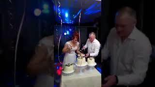Свадьбаразрезание торта